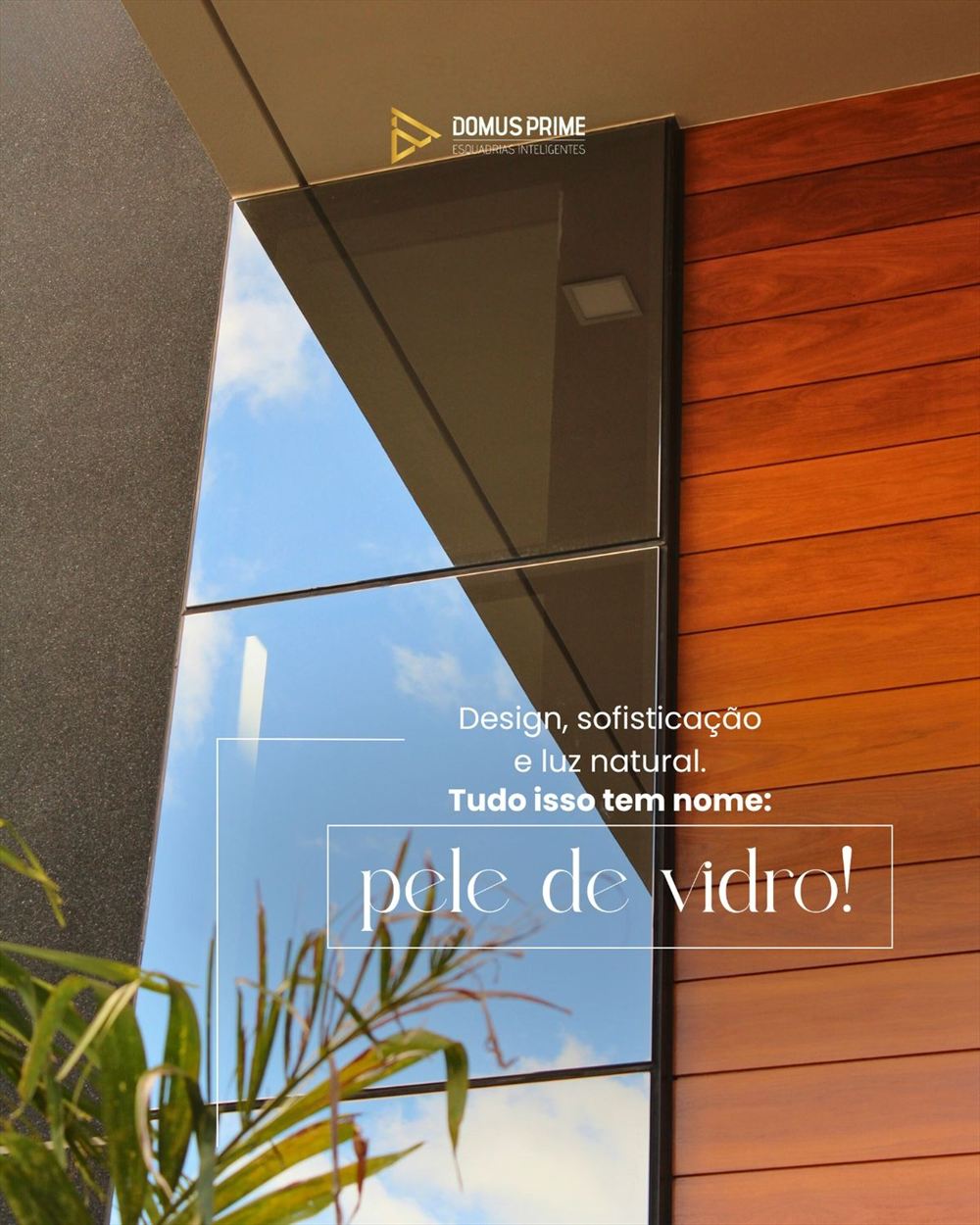 Pele de vidro